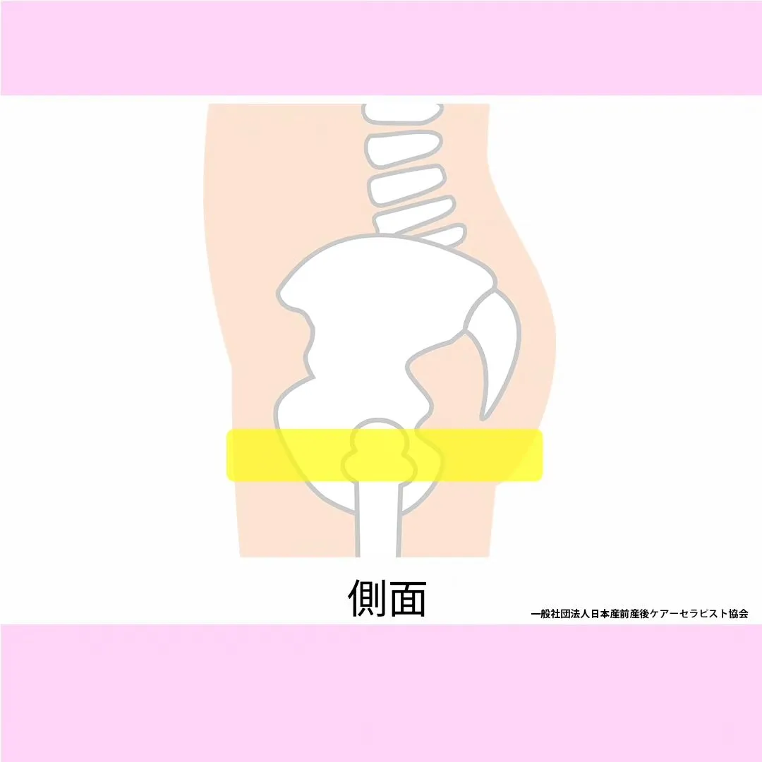 最近、骨盤ベルトの付け方を聞かれますので、