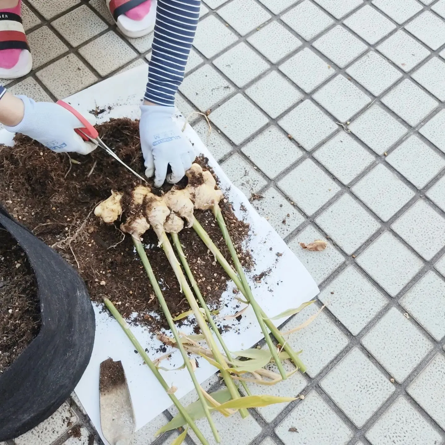 2023.12. 16 土曜日