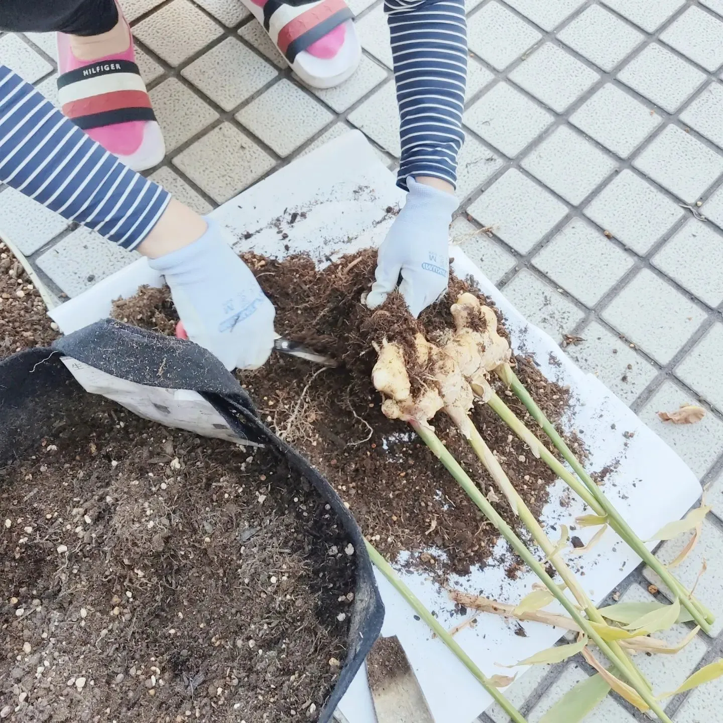 2023.12. 16 土曜日