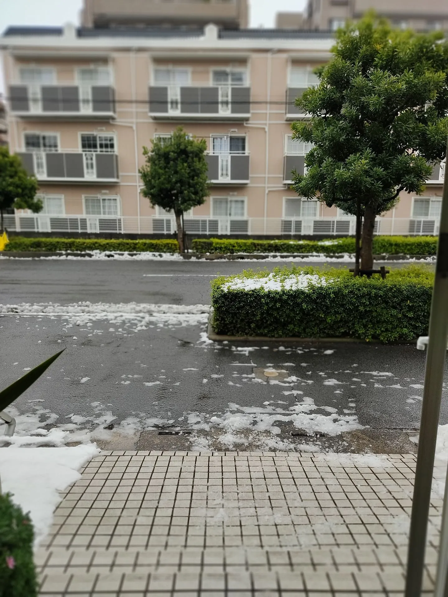 2024.2.6　本日の代表あいさつ