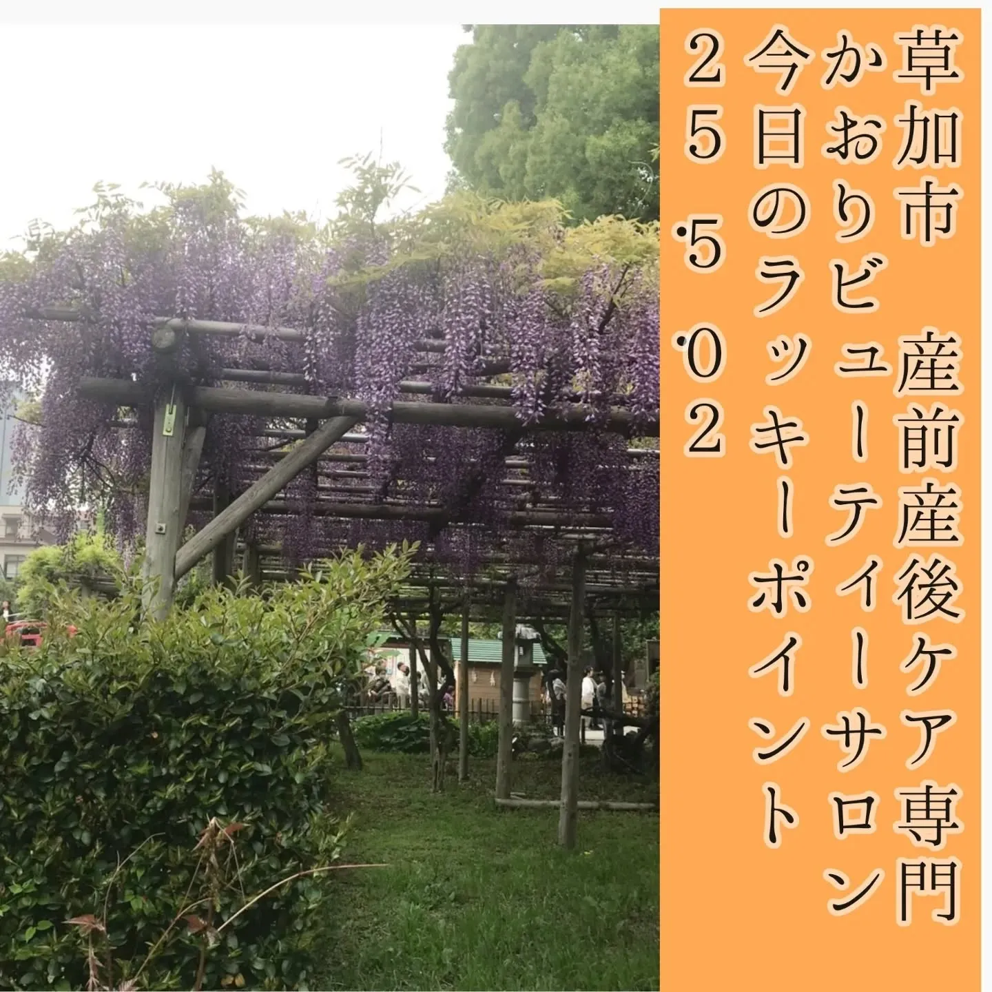 産前産後のママたちの健康を支えるだけでなく、セラピスト養成講...