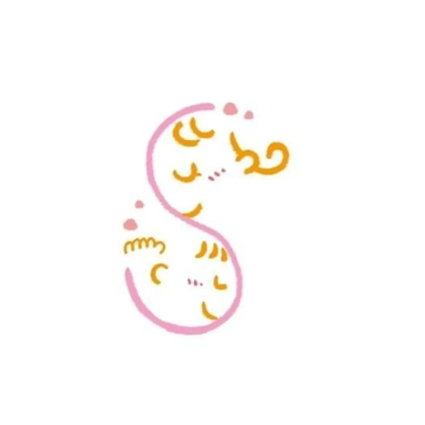 産前産後のママたちの健康を支えるだけでなく、セラピスト養成講...