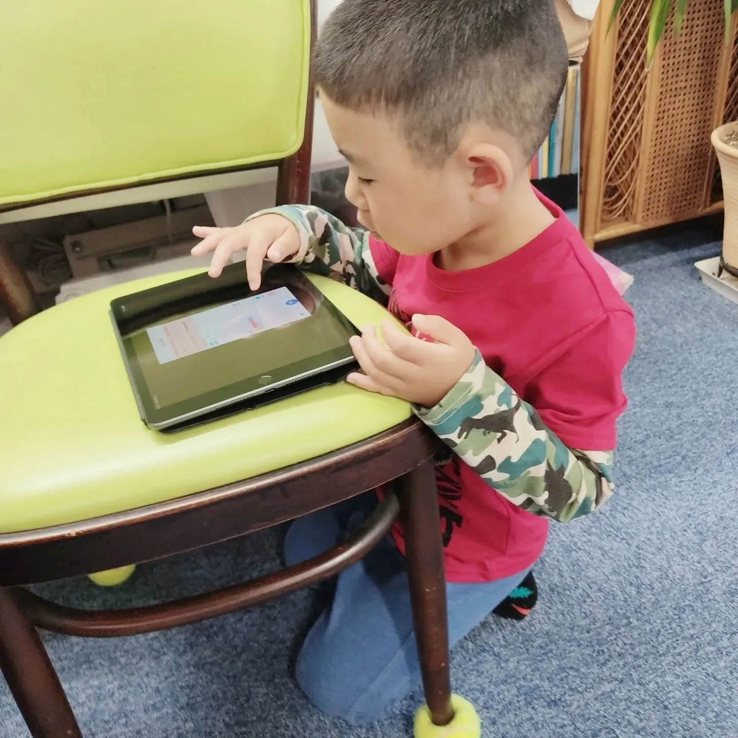 🌿こんにちは。