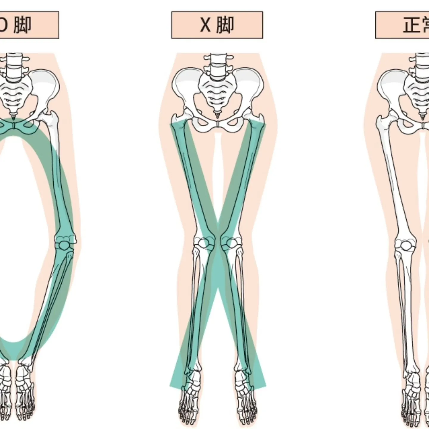 🌸【産前産後に理学療法は有効？】🌸