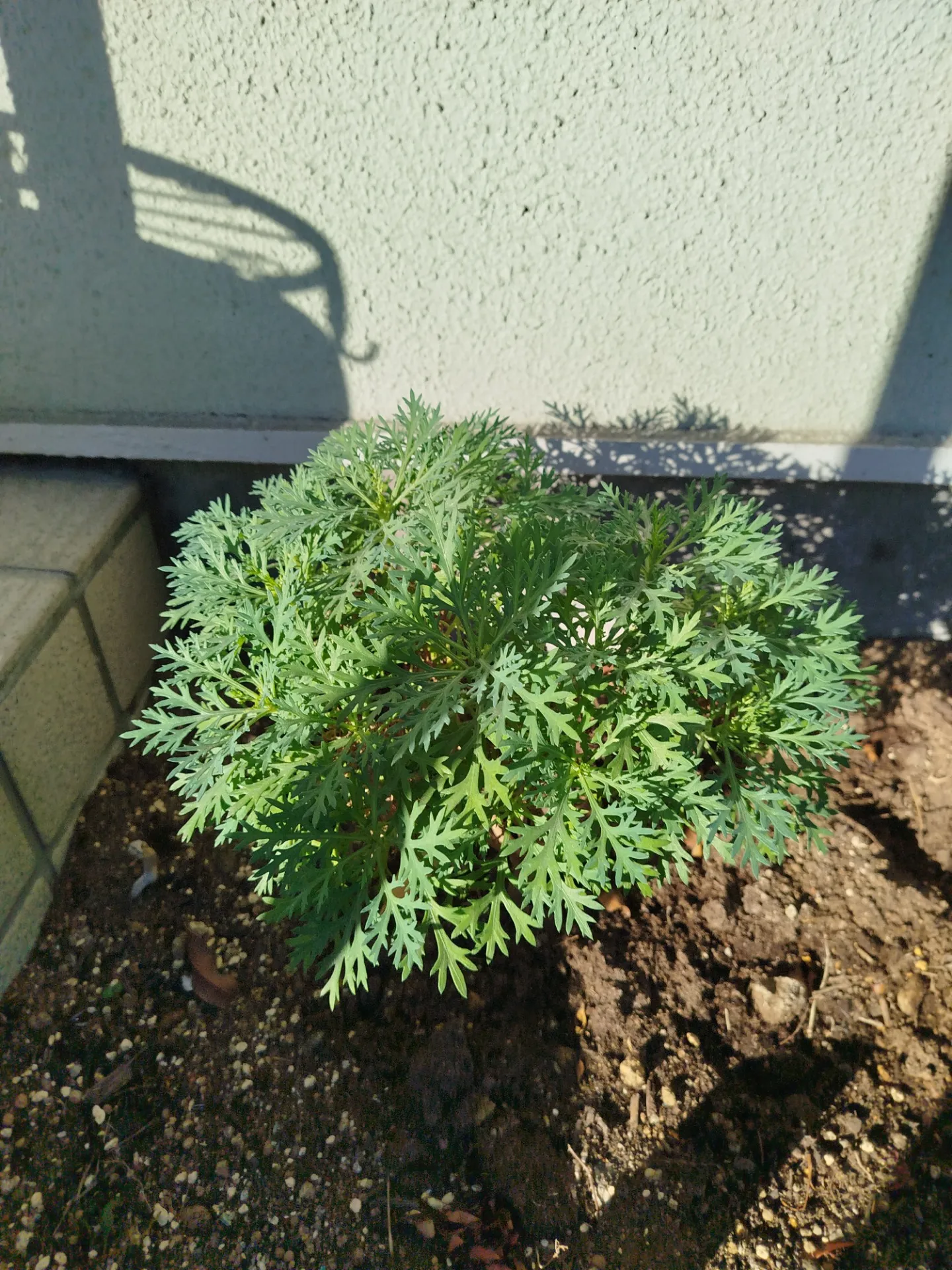 感情も身体も、ひとりで抱えなくていい 整えるためのヒント集