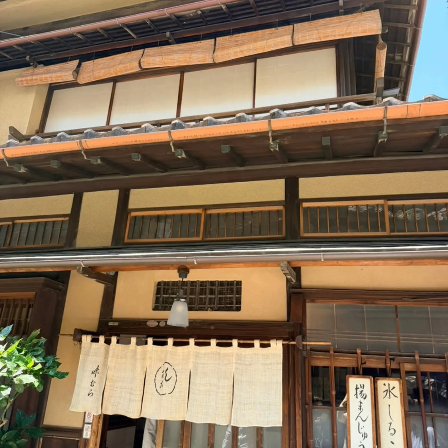 香織のルーツ🌿