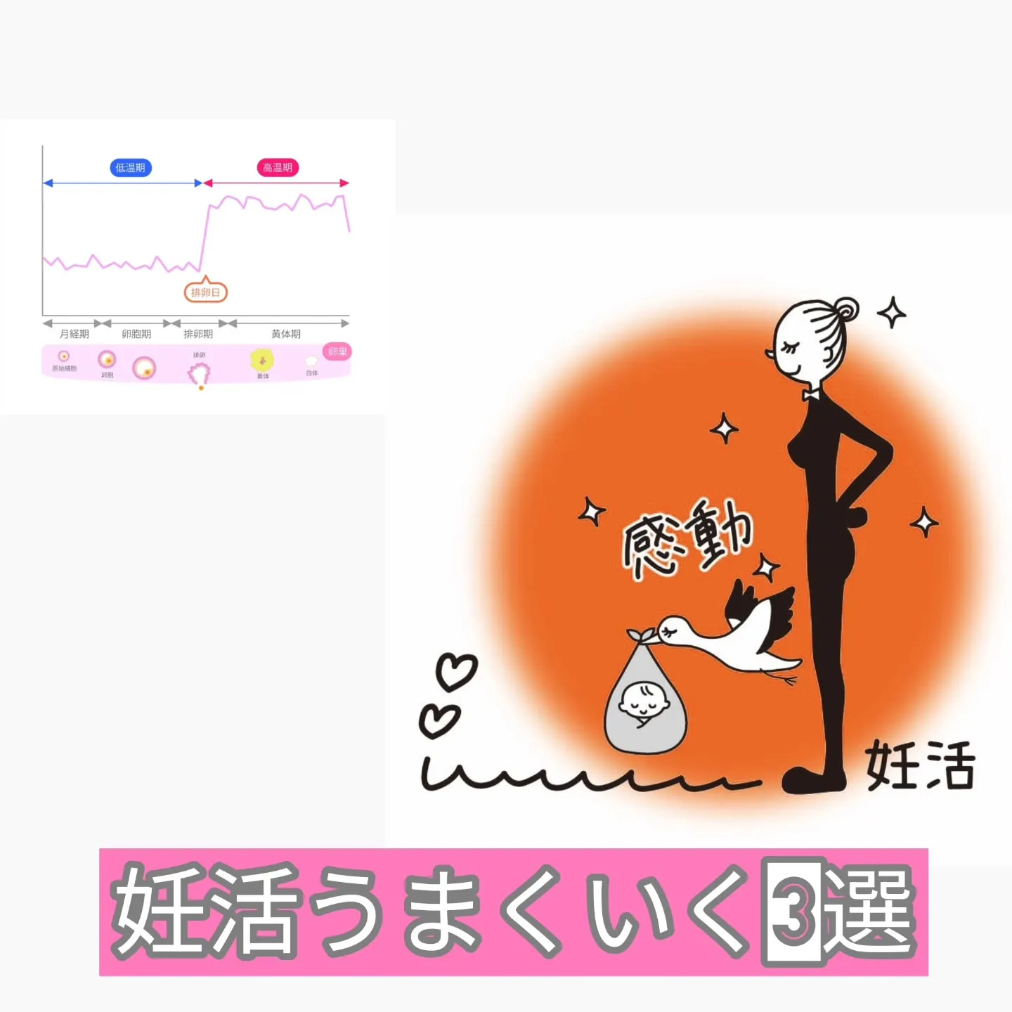 妊活がうまくいく3つの習慣