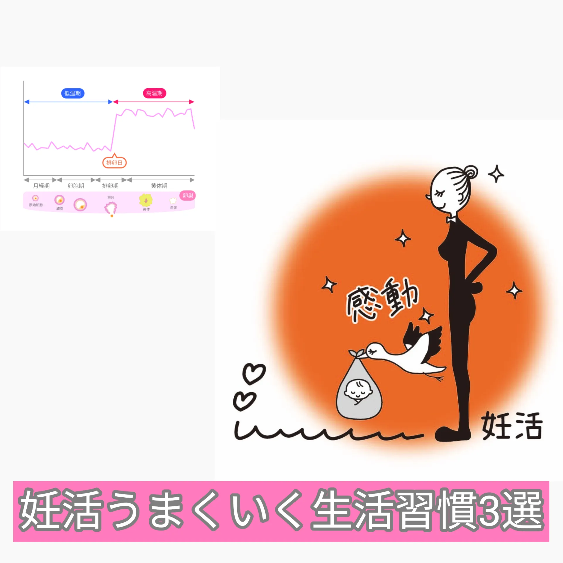 妊活うまくいく生活習慣3選