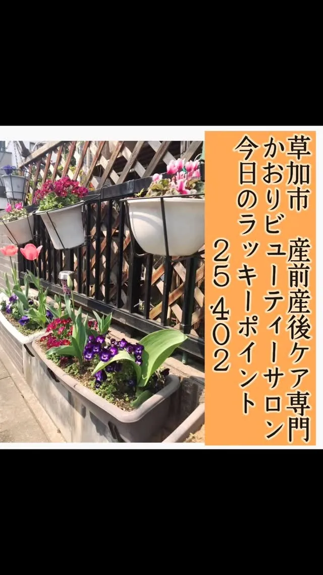 今日のラッキーポイント