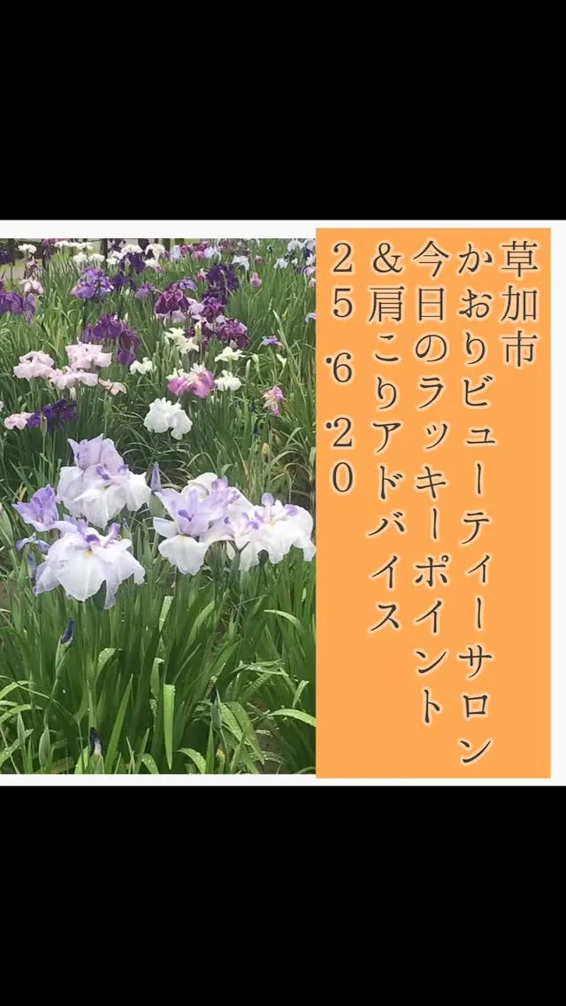 産前産後のママたちの健康を支えるだけでなく、セラピスト養成講...