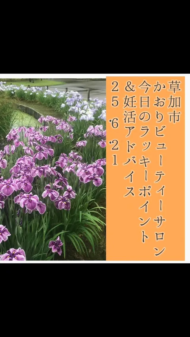 産前産後のママたちの健康を支えるだけでなく、セラピスト養成講...