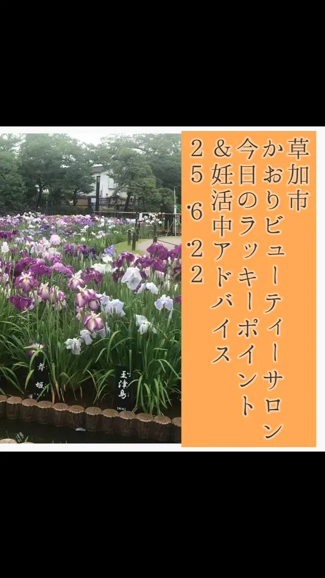 産前産後のママたちの健康を支えるだけでなく、セラピスト養成講...